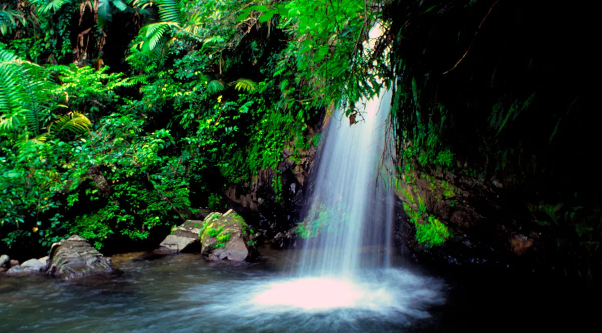15 best puerto rico activities an insiders guide 1
