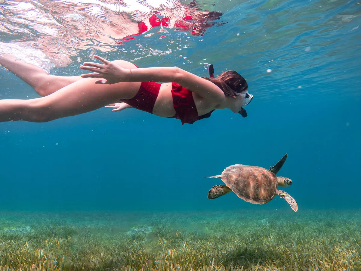 15 Best Puerto Rico Activities: An Insider’s Guide