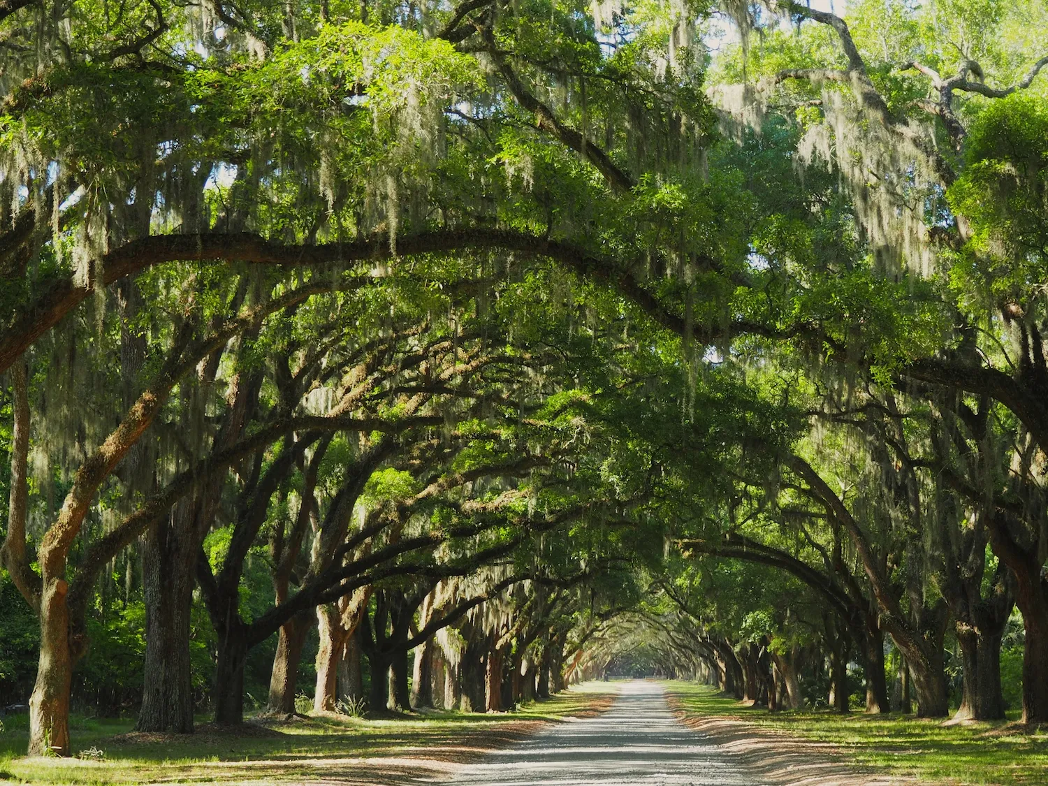 East Coast Weekend Getaways: 9 Best Trips Guide 8 25 best east coast weekend getaways an insiders guide 5