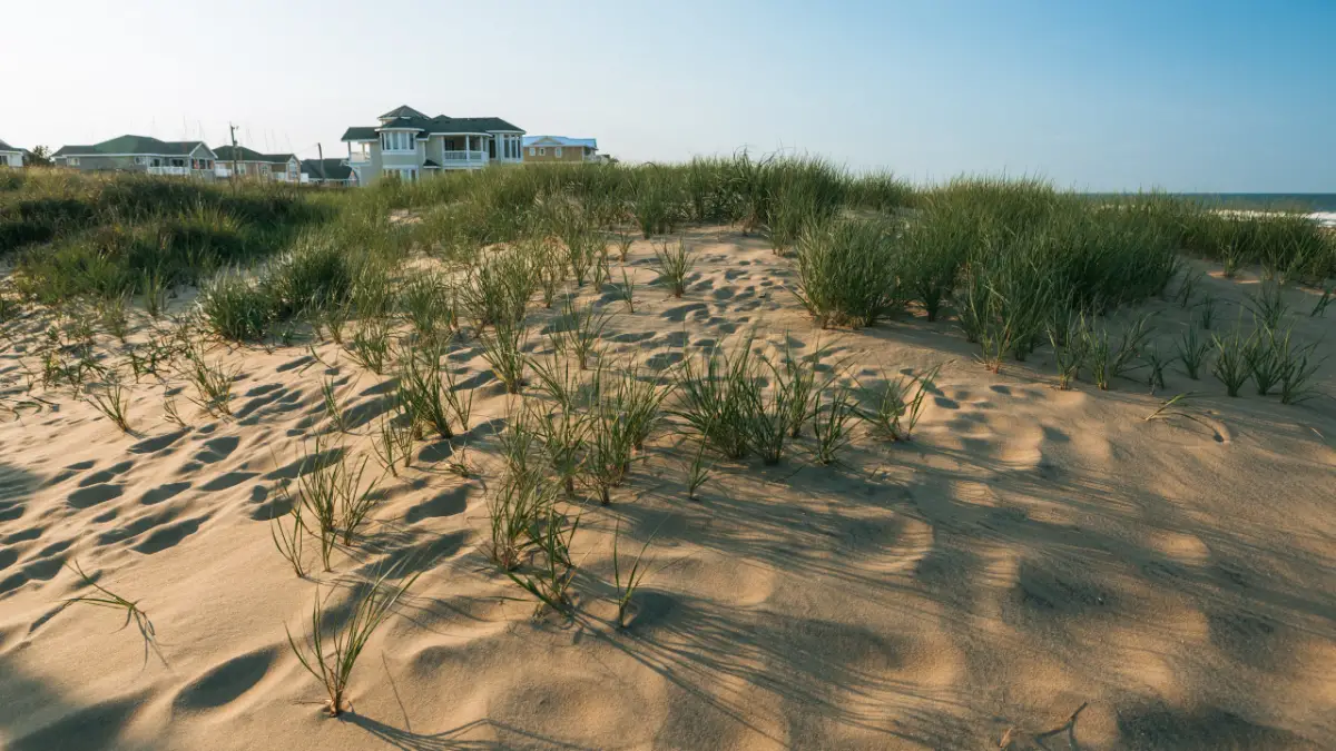 547954 virginia beach