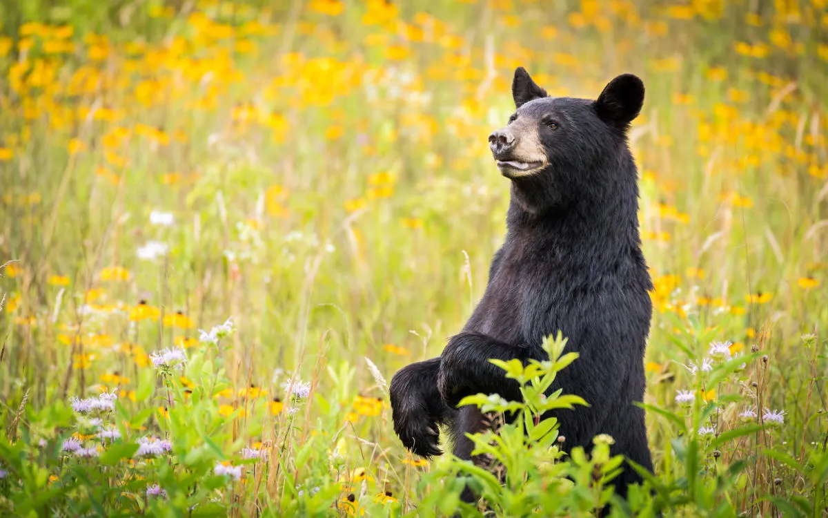 8 best east coast national parks a ranked guide for travelers 1