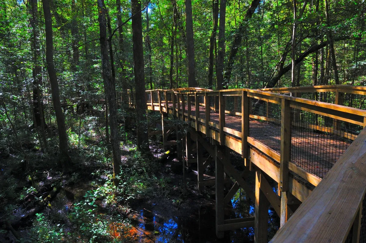 8 best east coast national parks a ranked guide for travelers 4