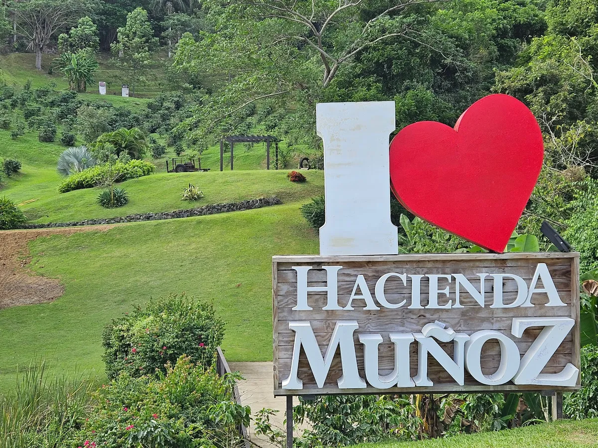 a guide to puerto rico coffee from hacienda to cup 3