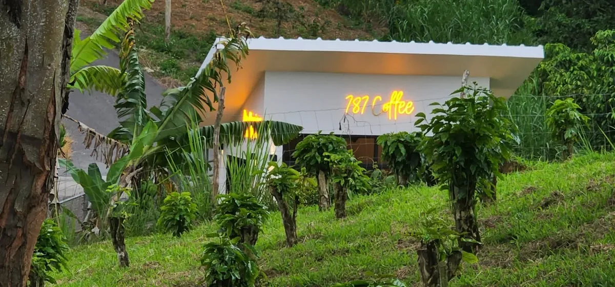 a guide to puerto rico coffee from hacienda to cup 4
