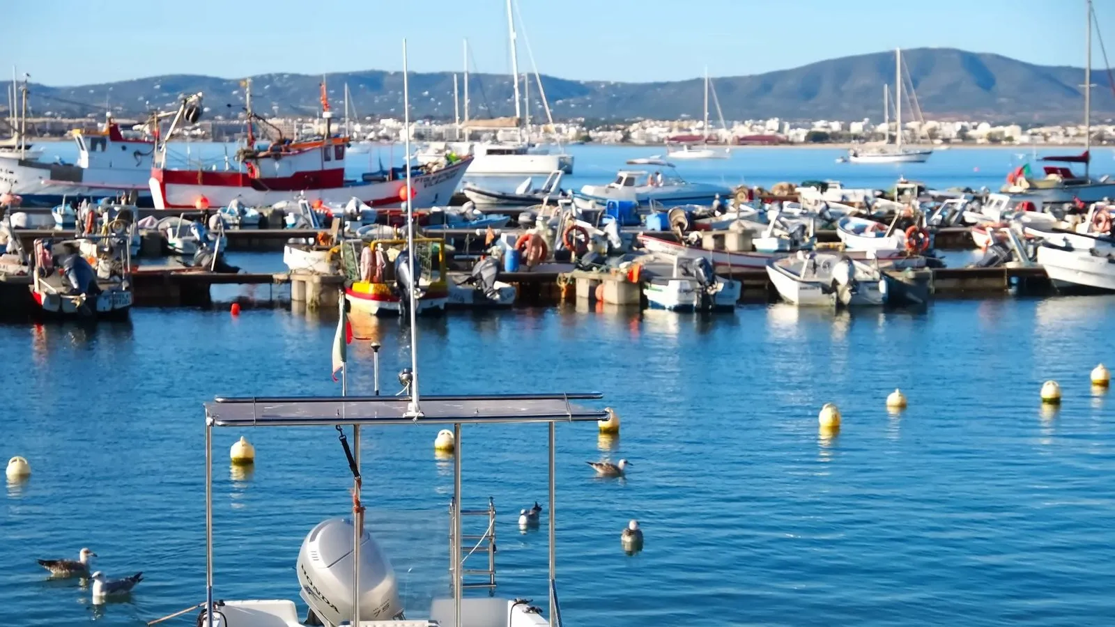 authentic portugal food an insiders culinary guide