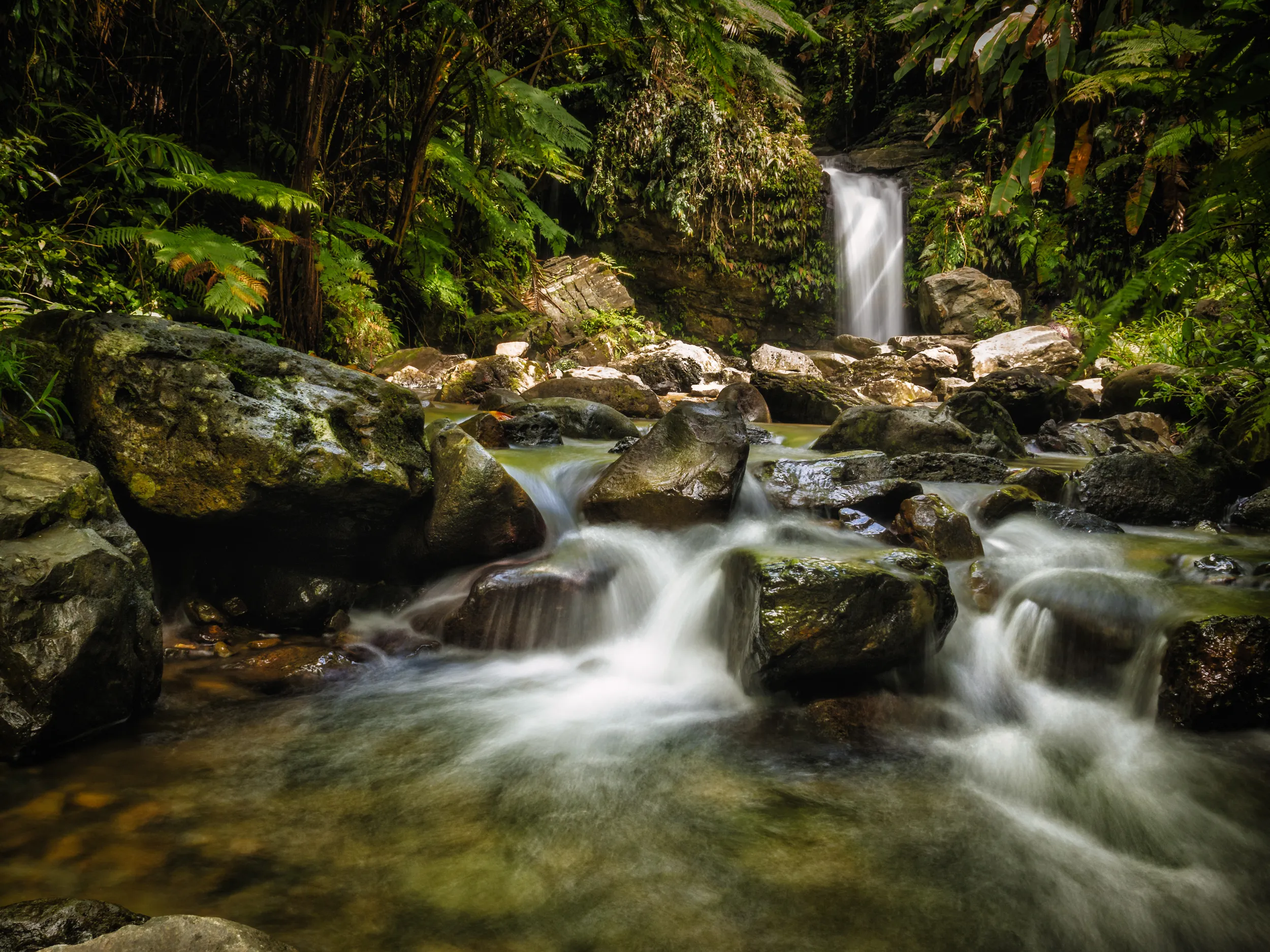 best waterfalls in puerto rico your complete guide