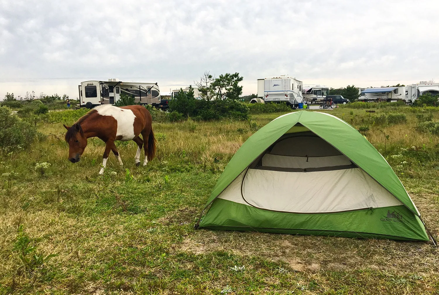 east coast camping 10 must visit destinations 4