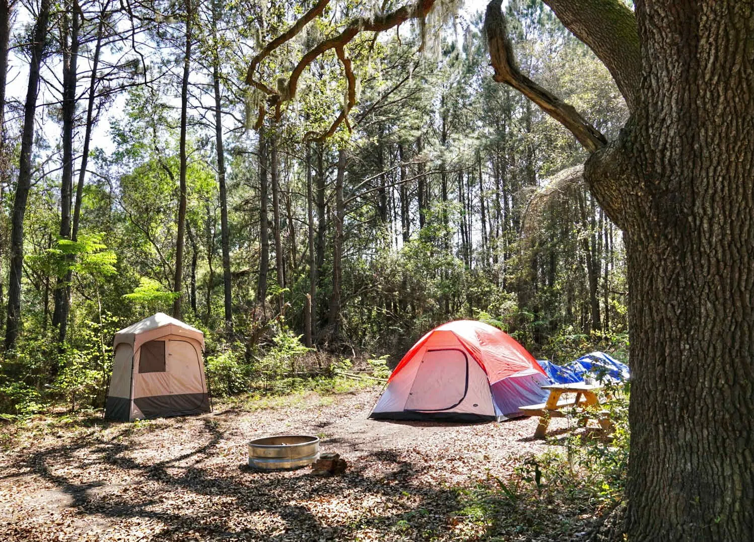 east coast camping 10 must visit destinations 9