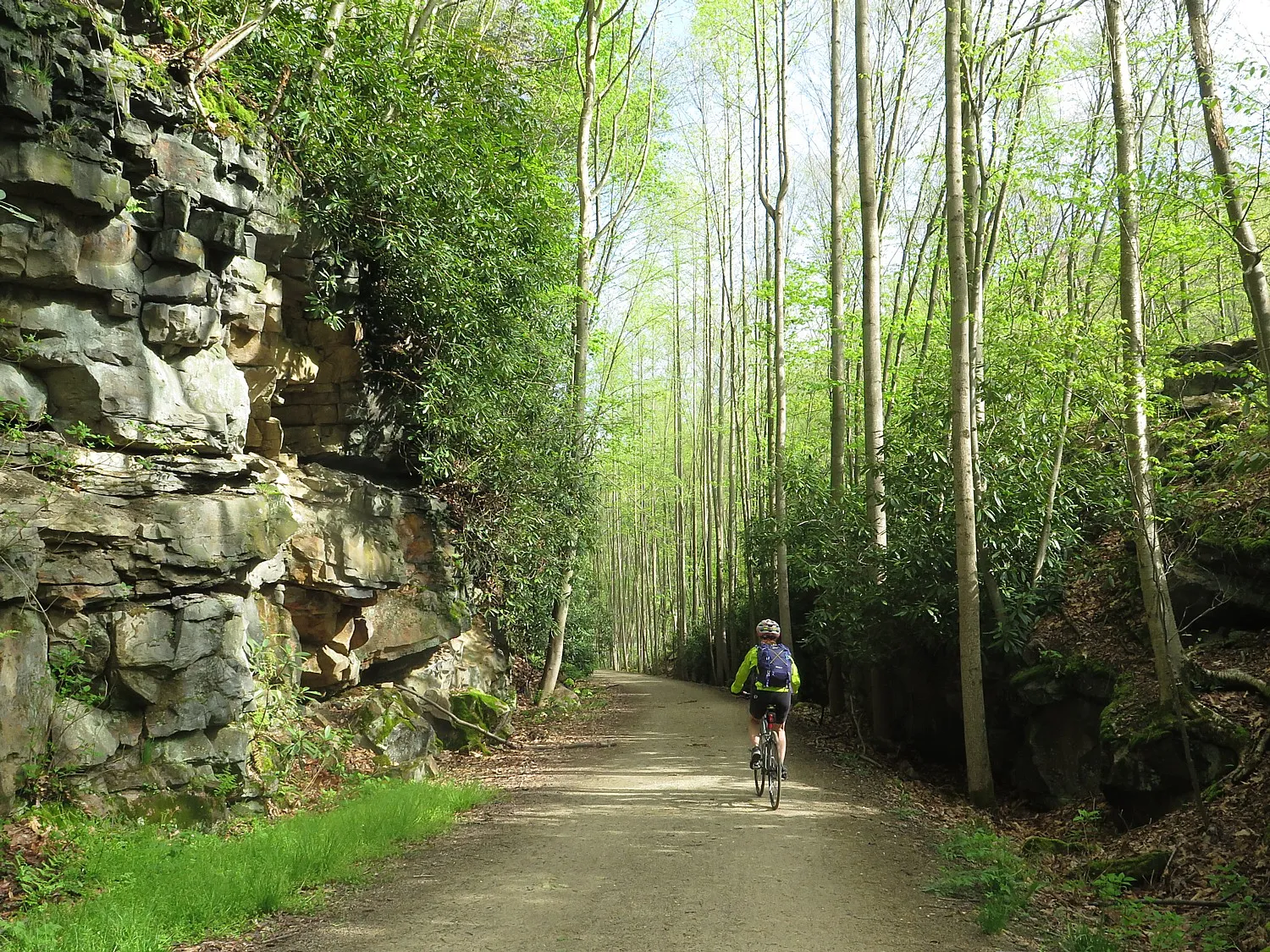 east coast cycling an ultimate guide to routes tips 2
