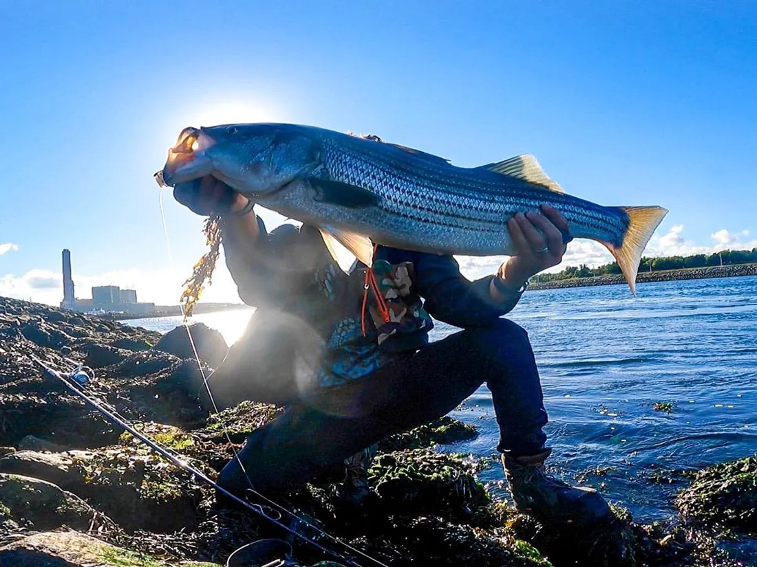 east coast fishing 6 epic spots from maine to florida