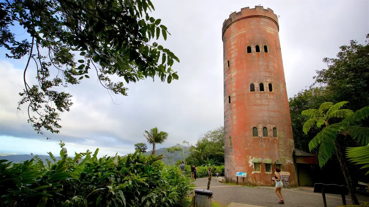 el yunque puerto rico a guide to the us rainforest 4
