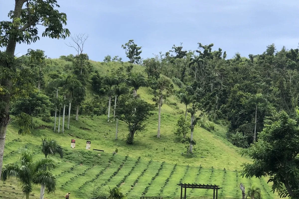 experience puerto rico culture an insiders travel guide 3