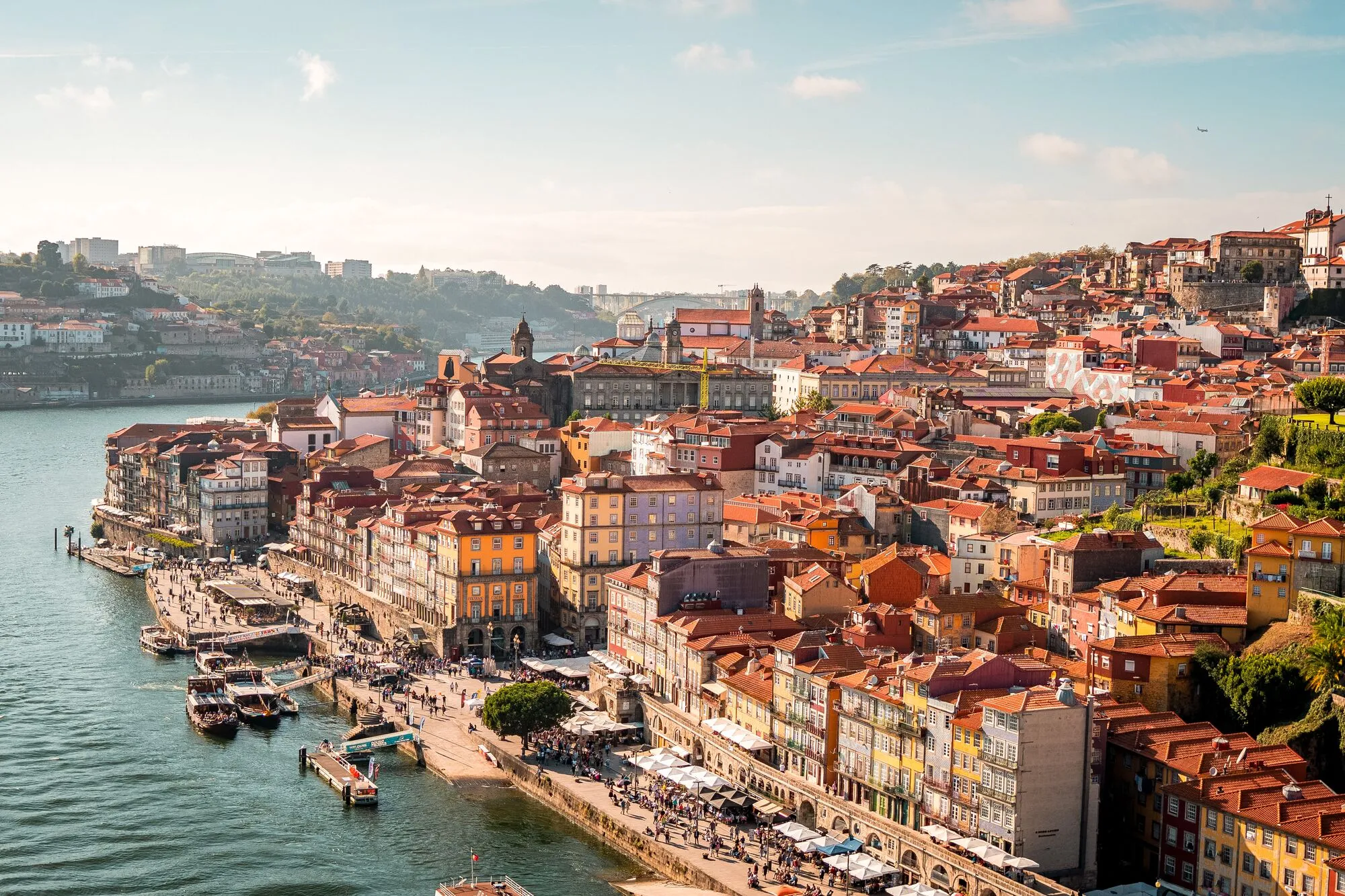 guide porto portugal seafood itinerary main image hd op