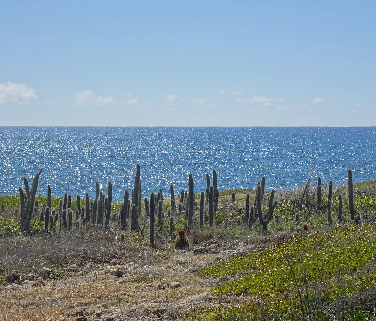 hiking in puerto rico 20 best trails 2