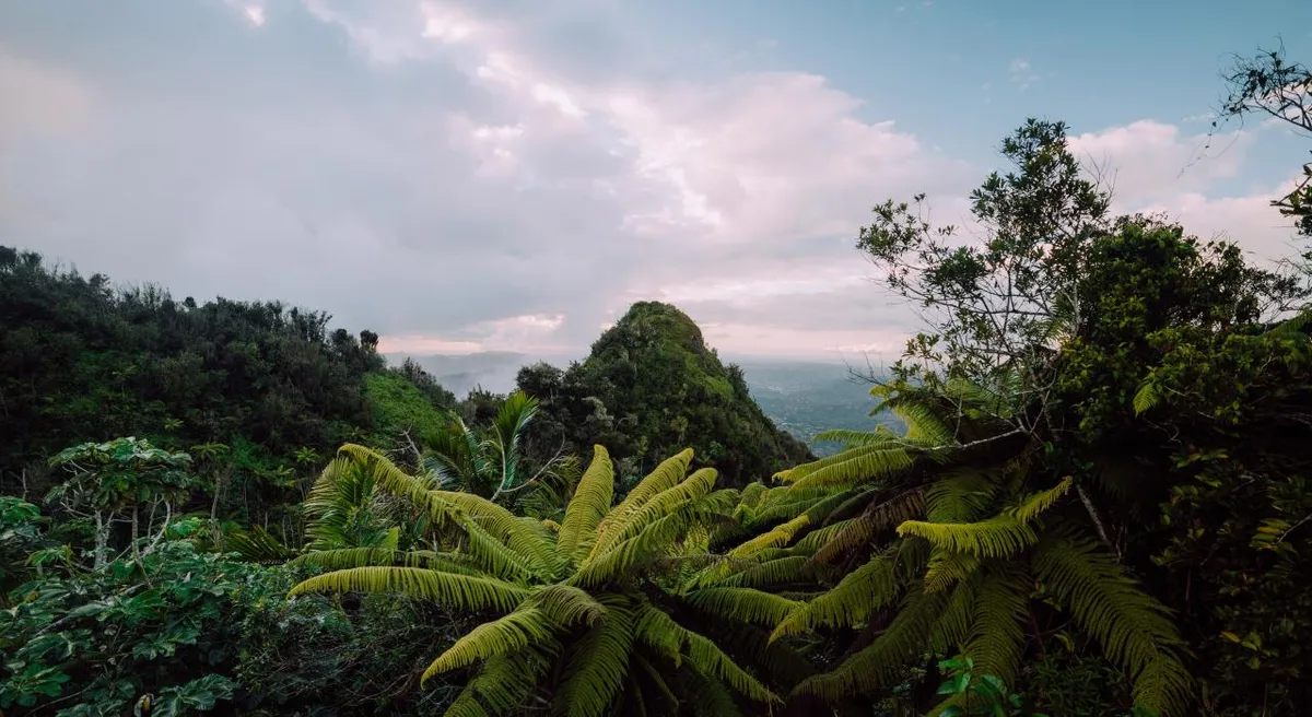 hiking in puerto rico 20 best trails 4