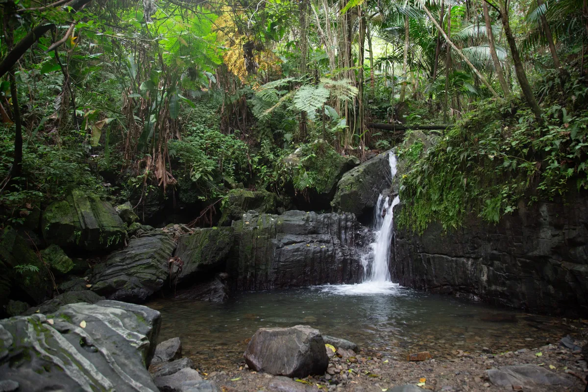 Hiking in Puerto Rico: 20+ Best Trails