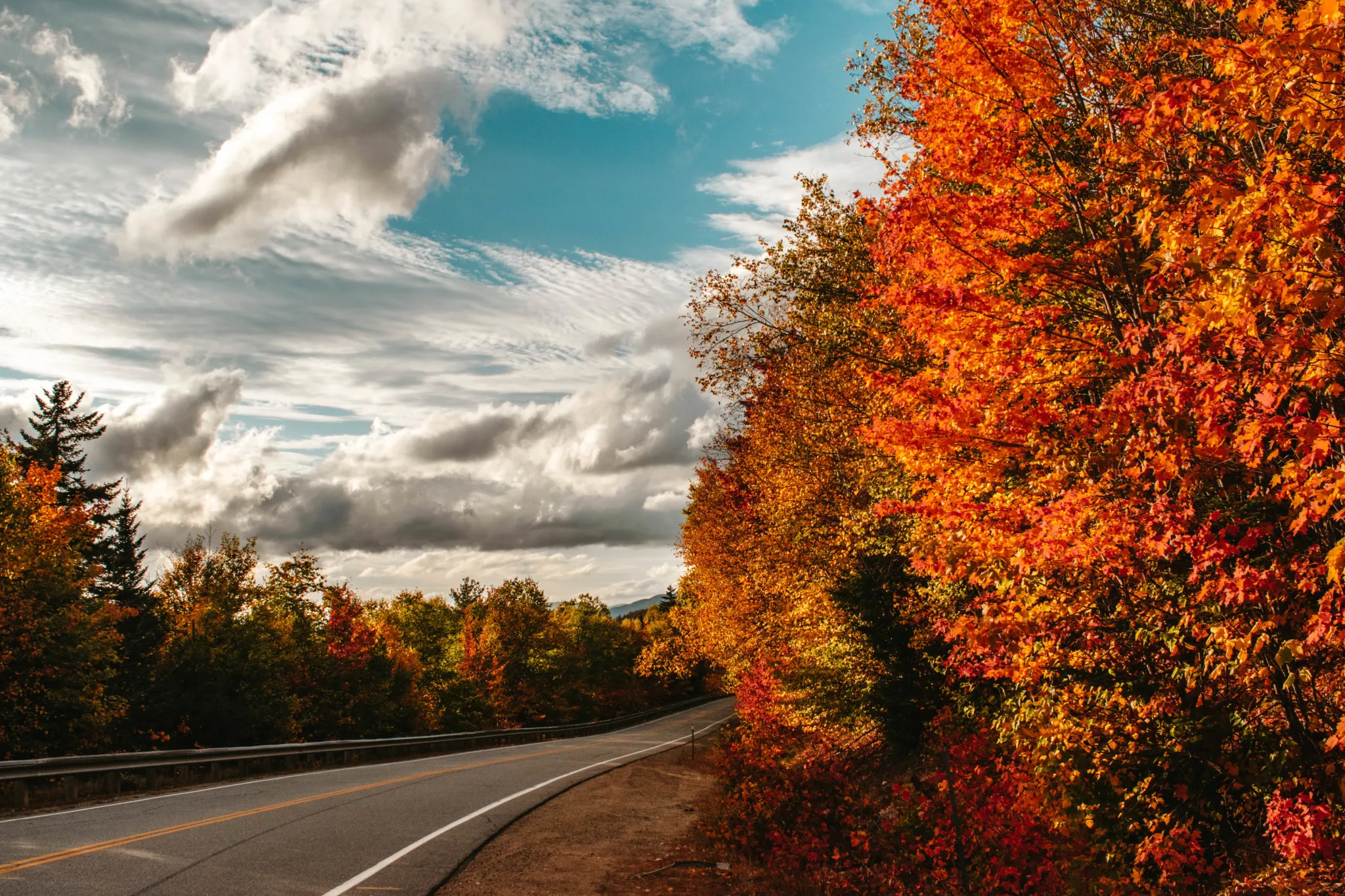 Maine to Florida Road Trip: An Ultimate Guide