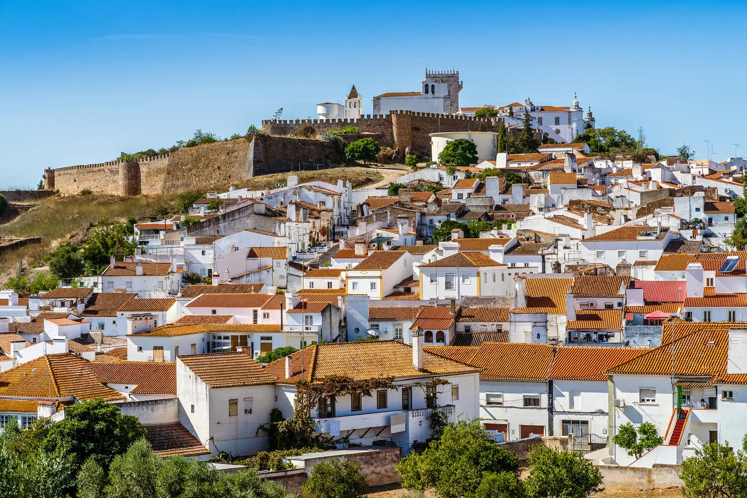 portugal wine regions a complete travelers guide 1
