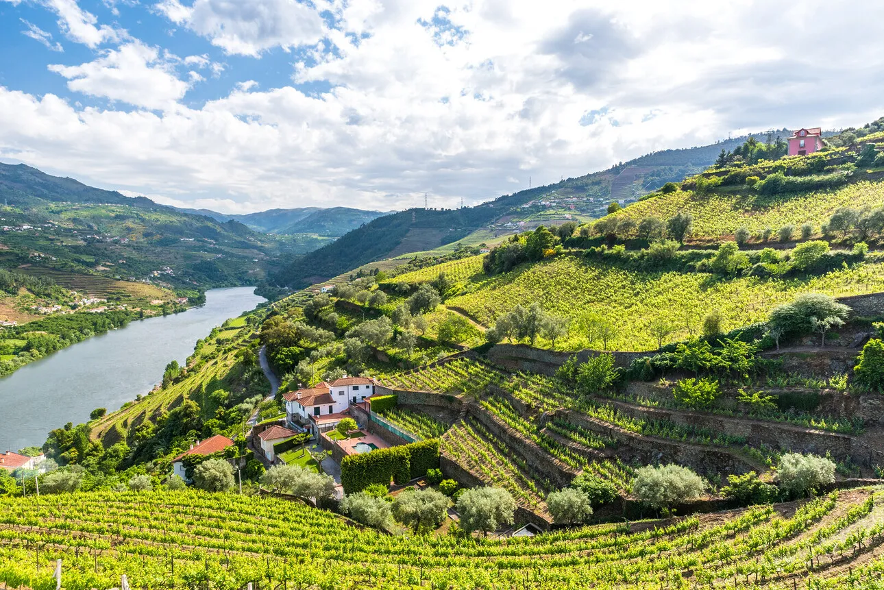 portugal wine regions a complete travelers guide 2