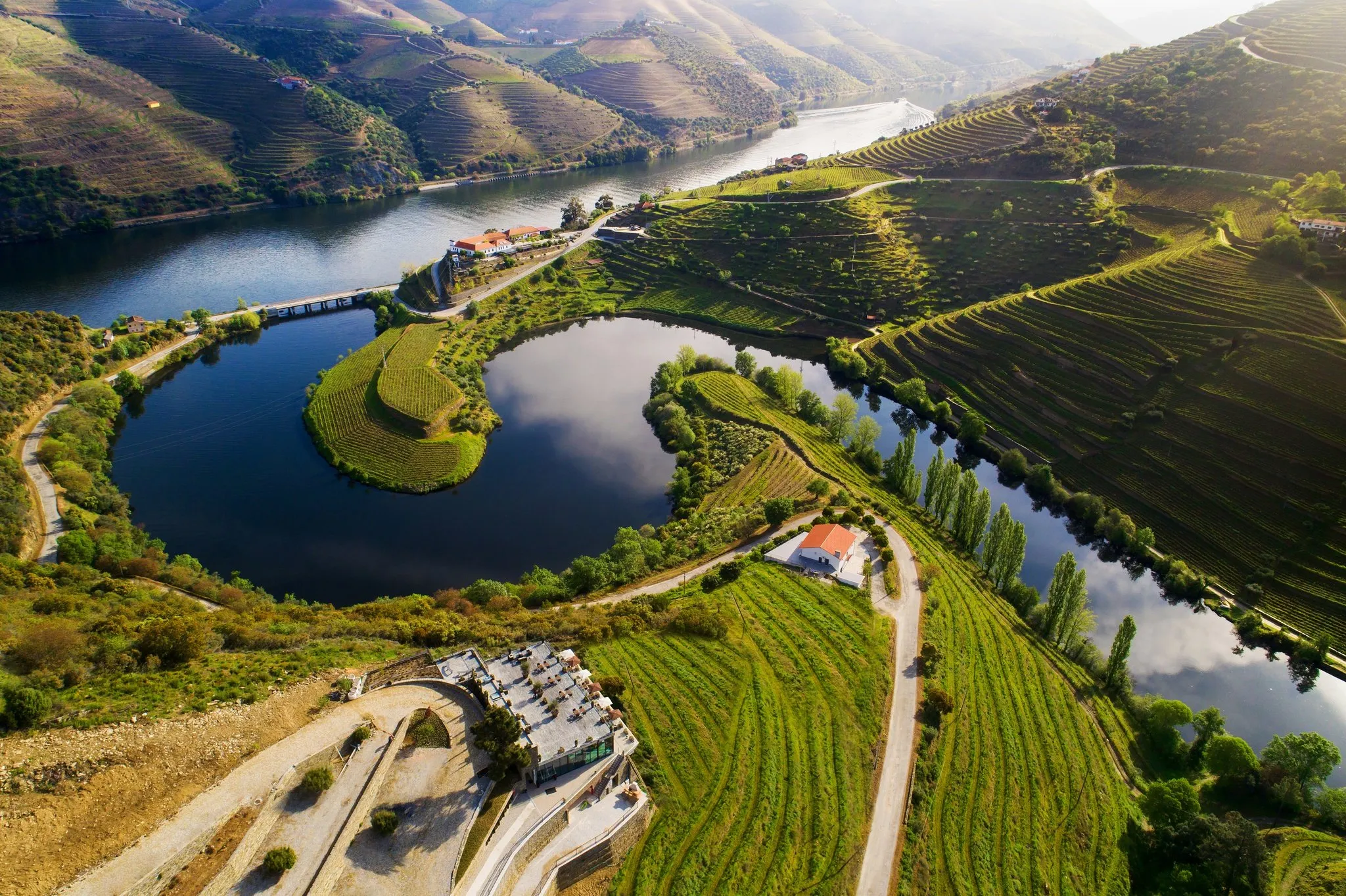 portugal wine regions a complete travelers guide