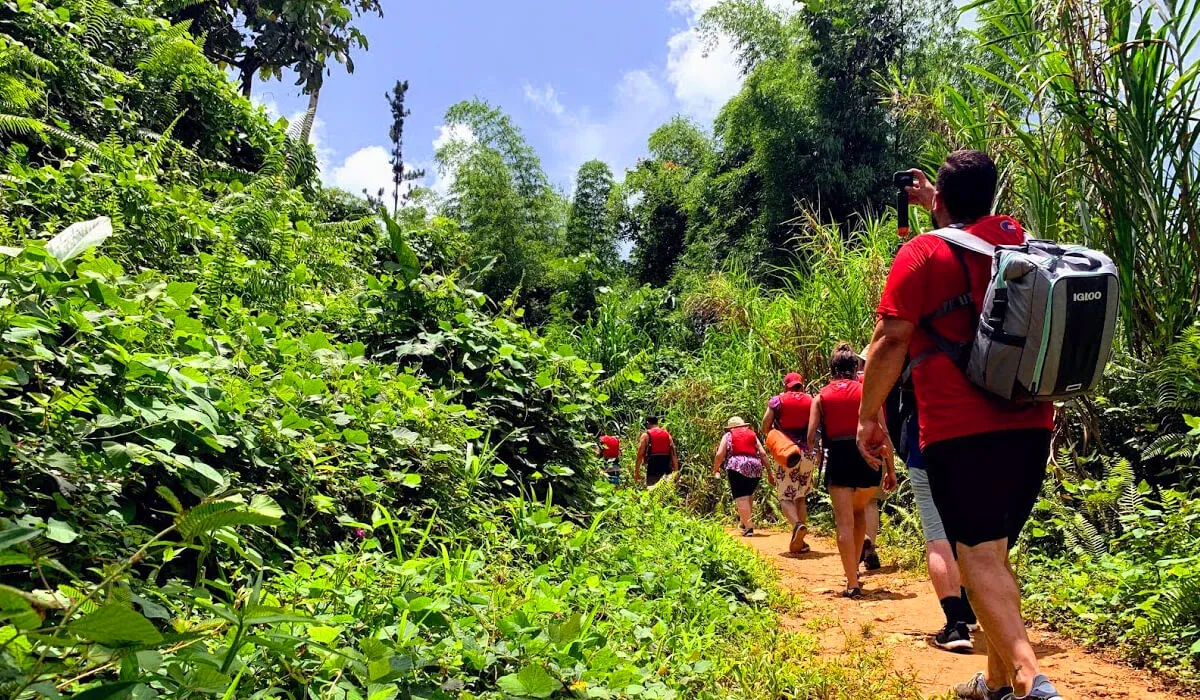 puerto rico rainforest guide el yunque adventure 2