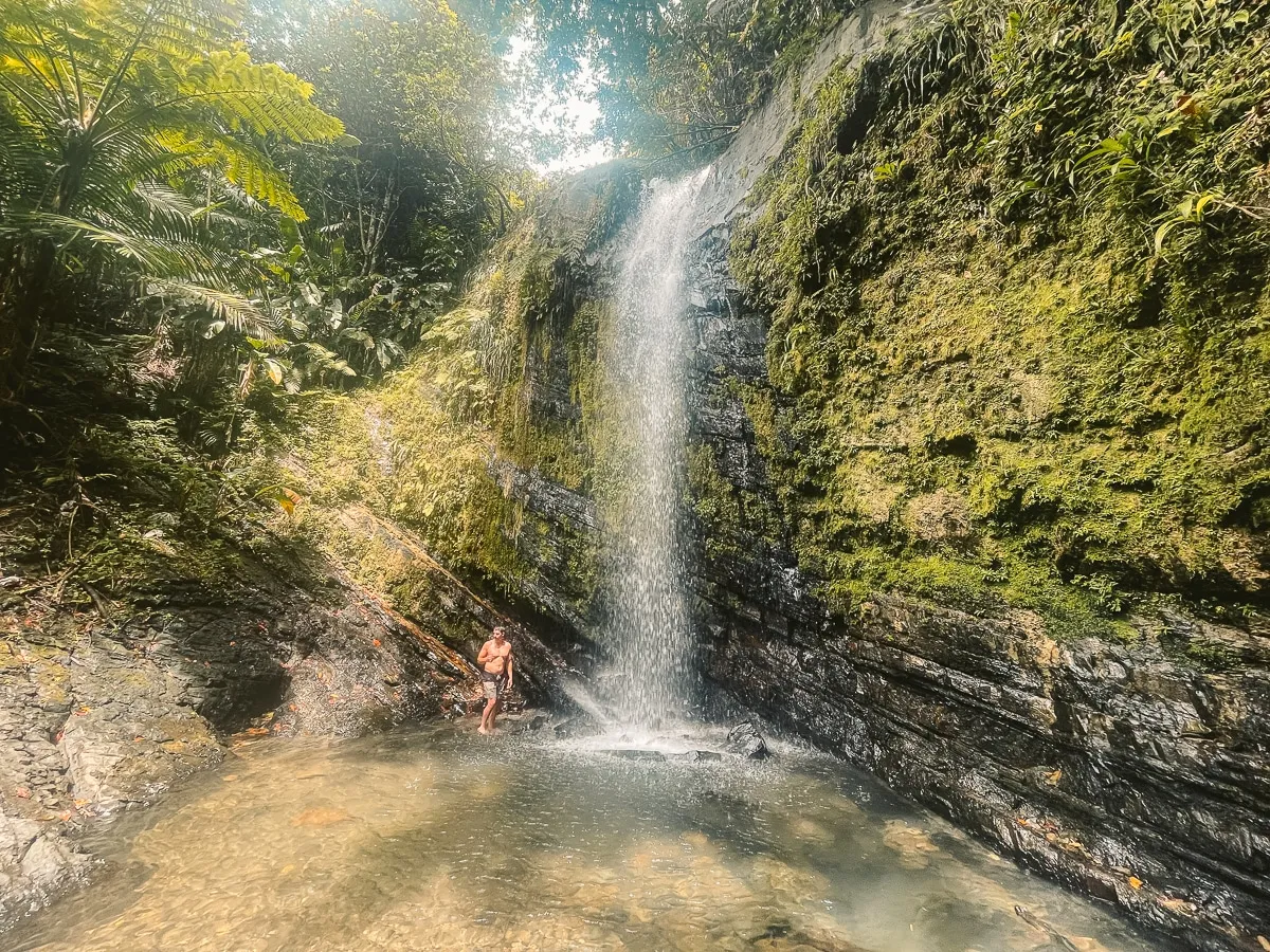 Juan Diego Falls Hike in El Yunque: The Secret Waterfall