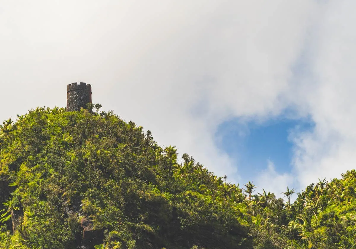 puerto rico rainforest guide el yunque adventure 5