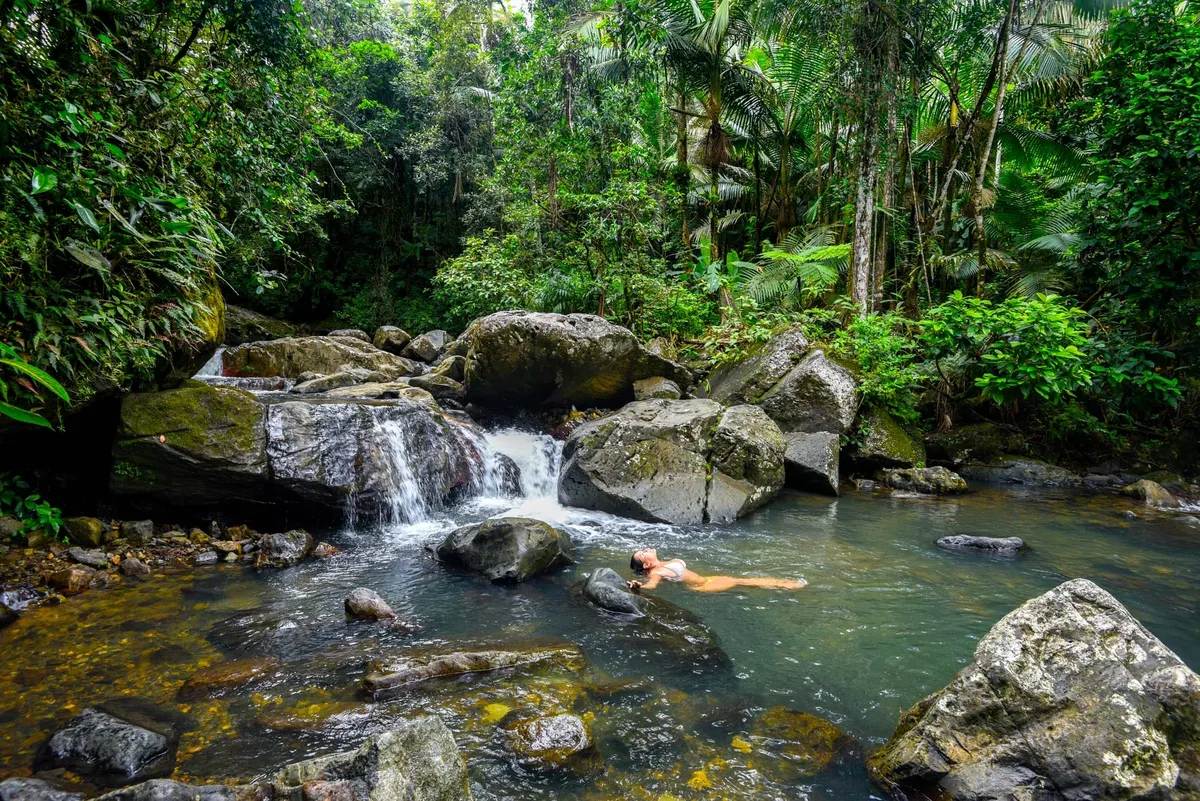 puerto rico rainforest guide el yunque adventure