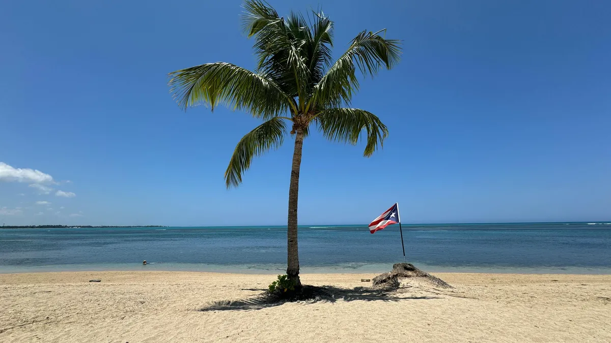 Palm Tree and Flag of Puerto Rico on Beach · Free Stock Photo