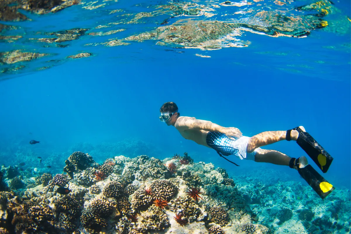Snorkeling in Puerto Rico: An Ultimate Guide