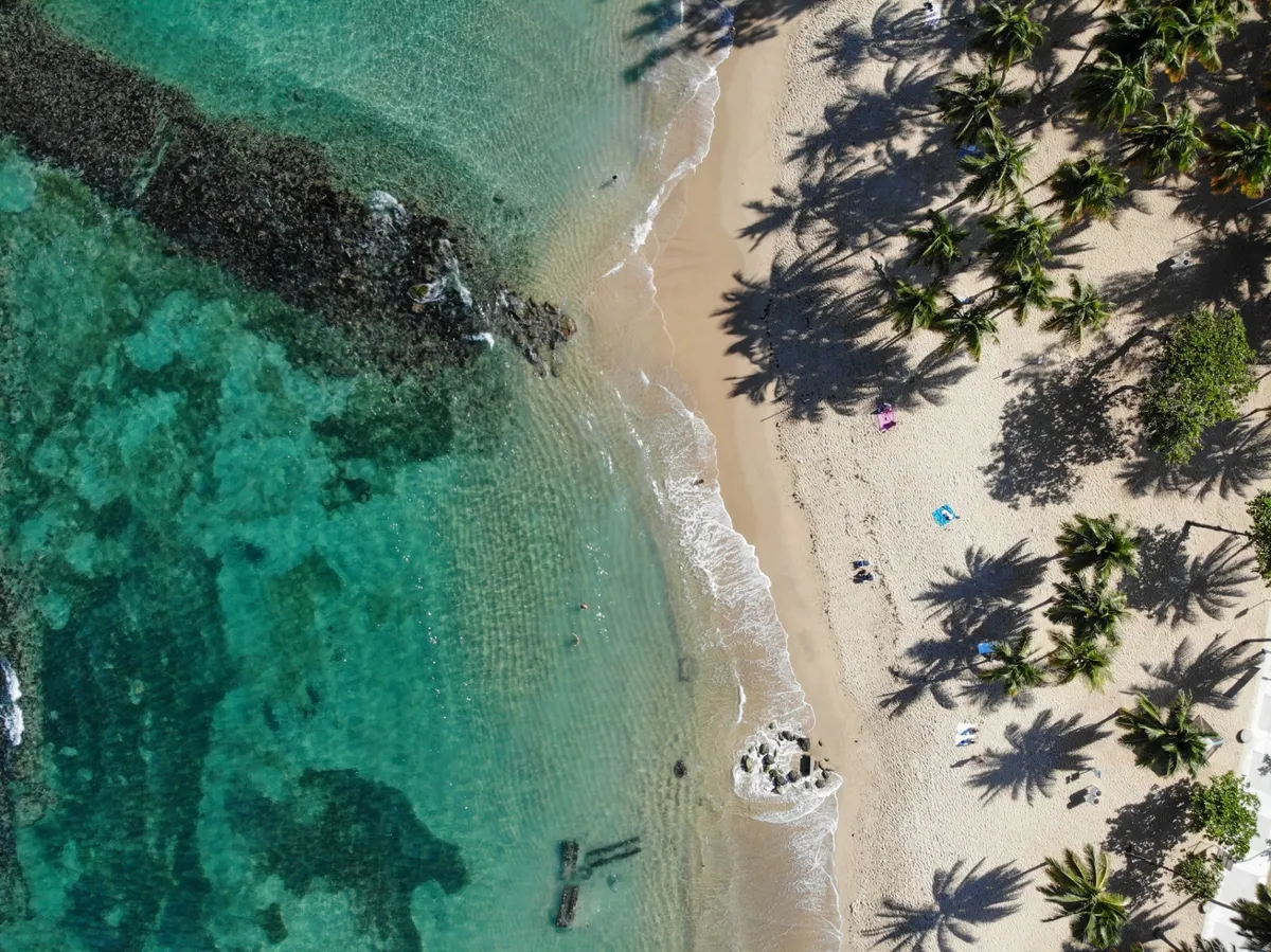 snorkeling in puerto rico an ultimate guide 3
