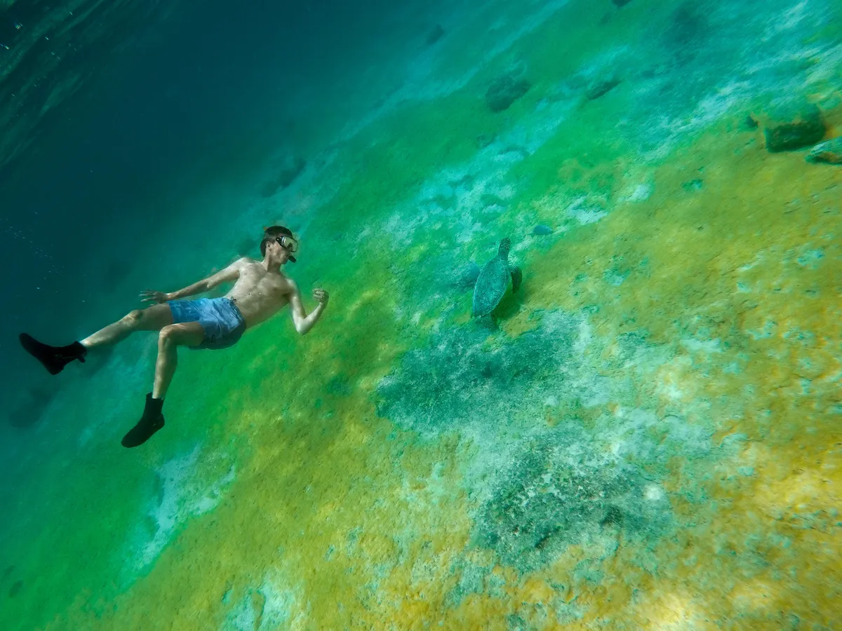 snorkeling in puerto rico an ultimate guide 4