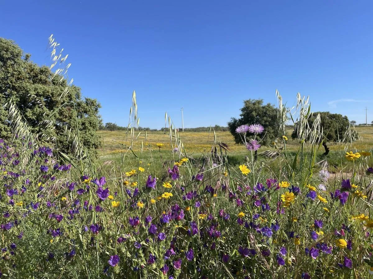 the best time to visit portugal a seasonal guide 1