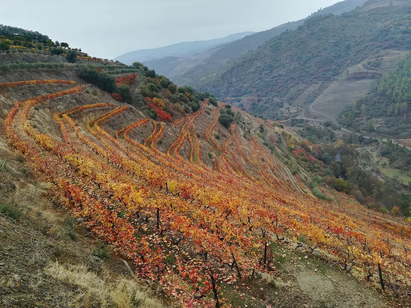 the best time to visit portugal a seasonal guide 3