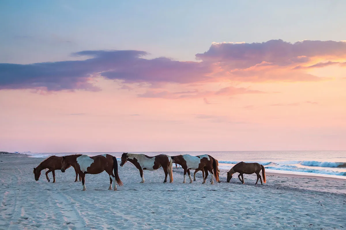 the ultimate east coast photography guide locations tips 6