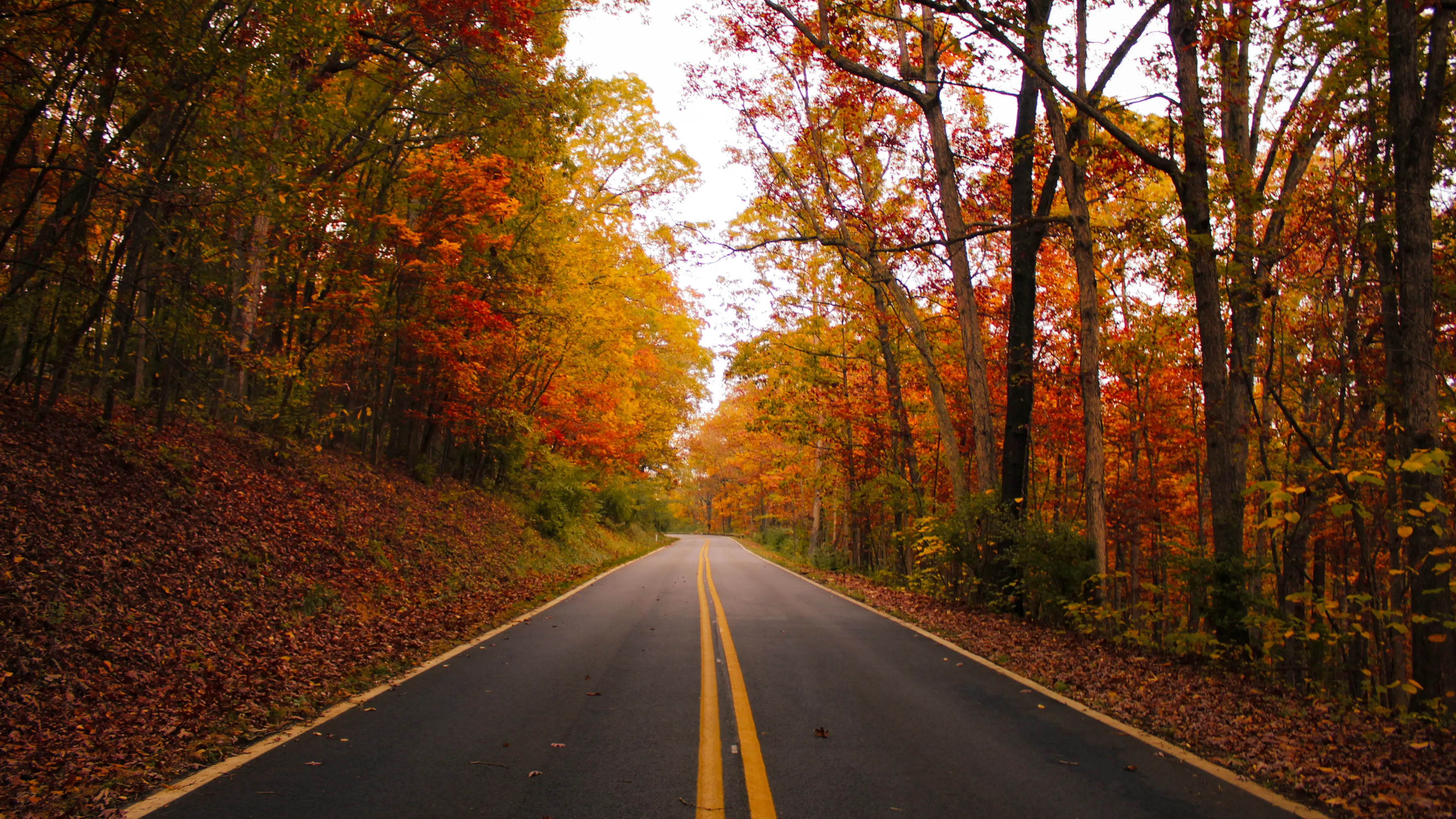 ultimate east coast fall foliage guide 4