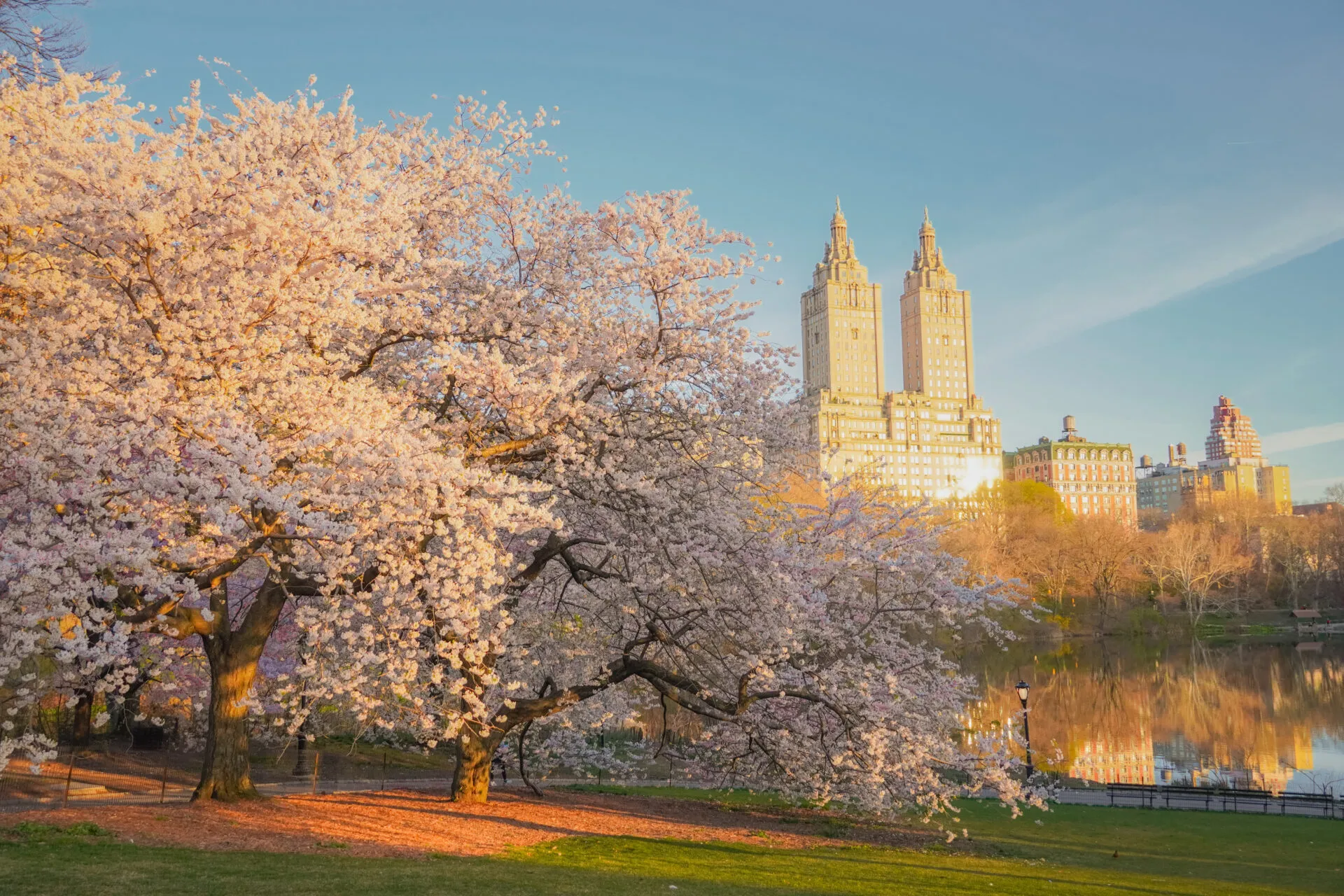 ultimate east coast spring break guide real reviews 1