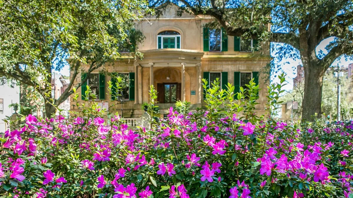 ultimate east coast spring break guide real reviews 2