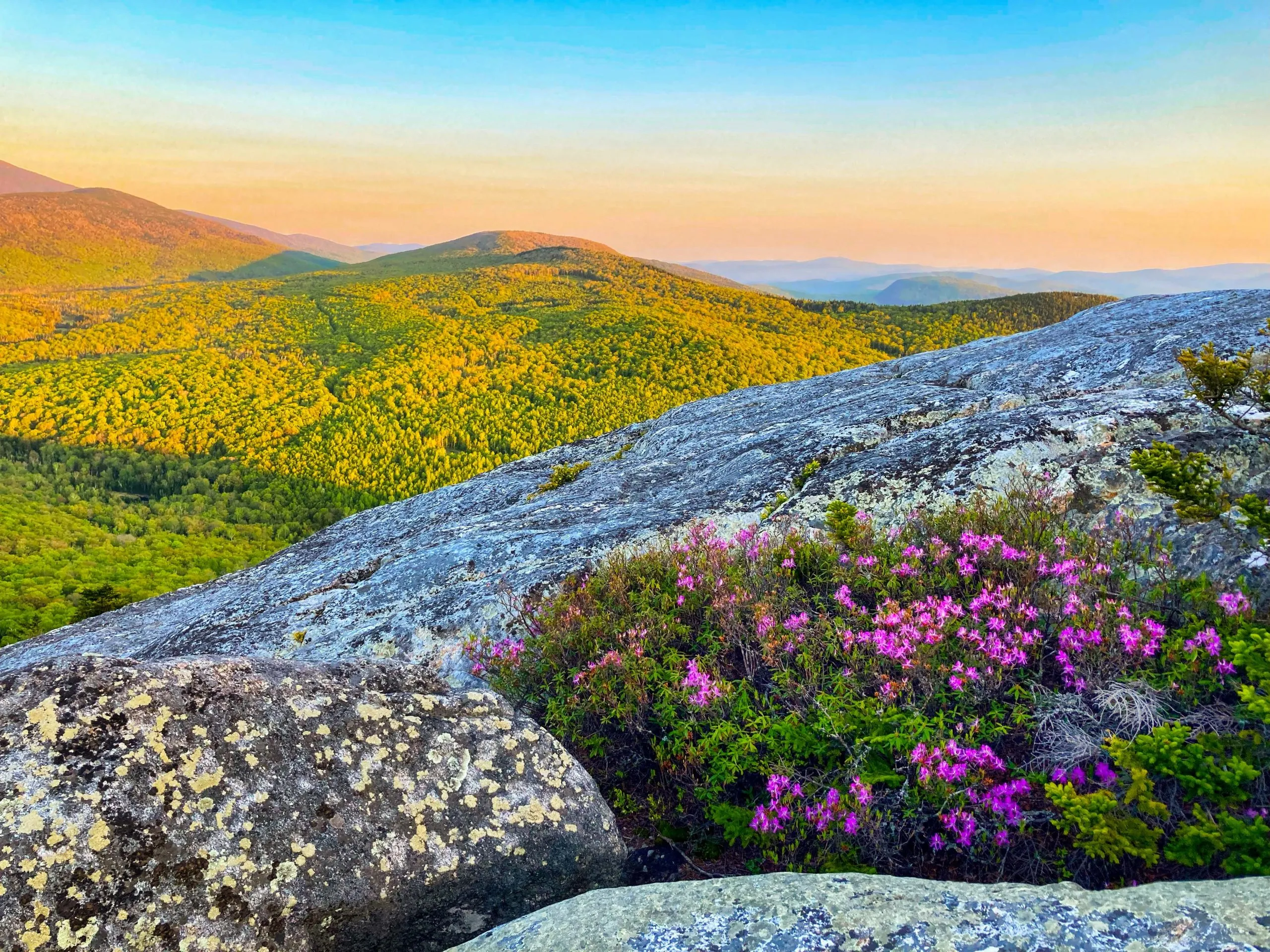 ultimate east coast spring break guide real reviews 3