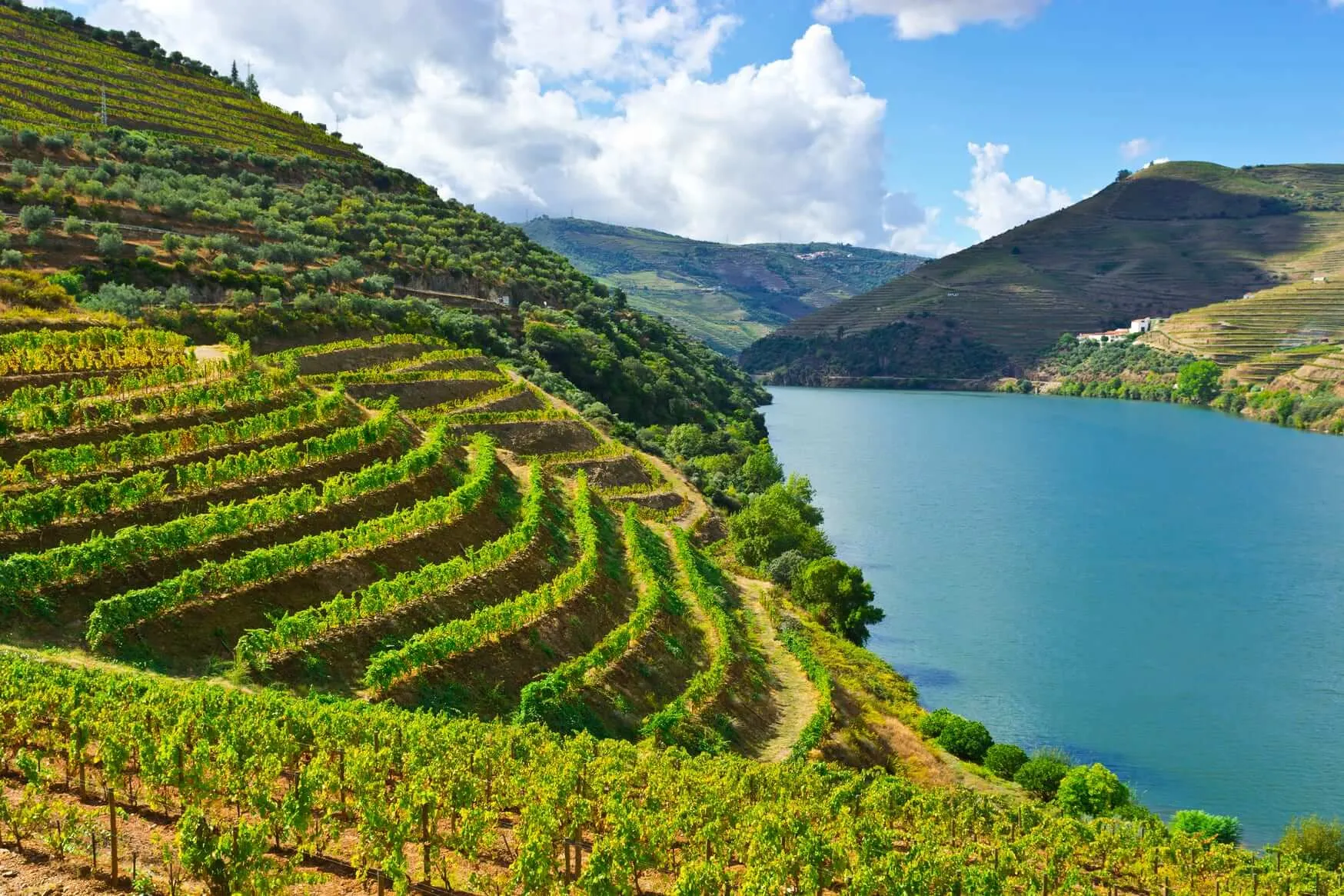 ultimate portugal wine travel guide regions tasting tips 2