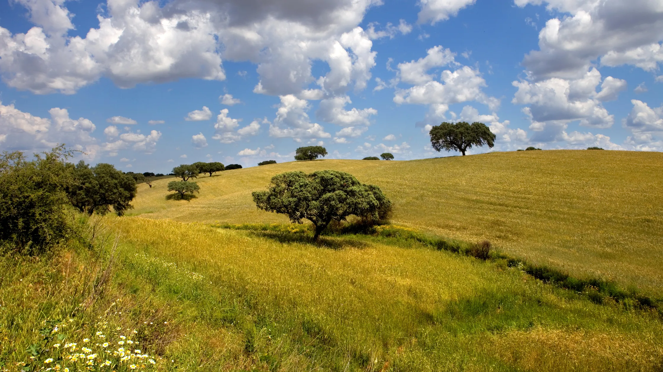 ultimate portugal wine travel guide regions tasting tips 3