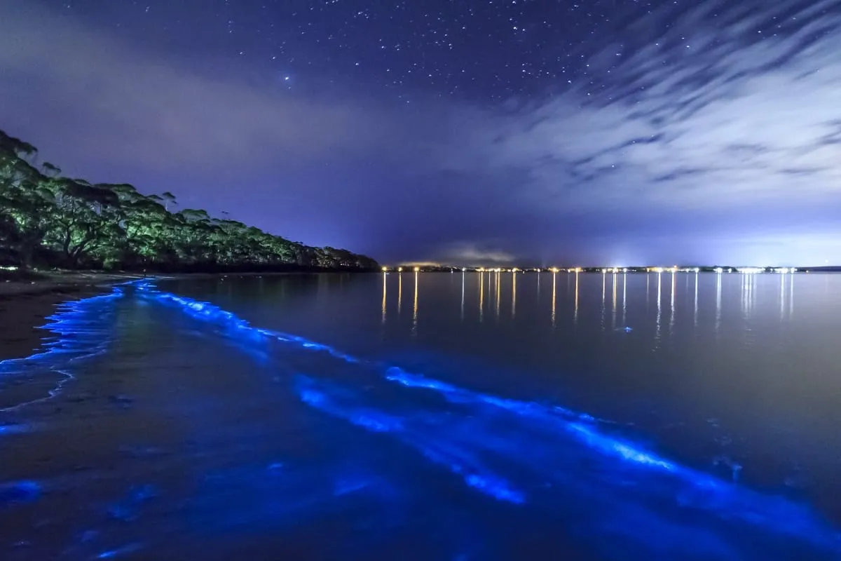 vieques puerto rico a guide to the caribbeans hidden gem 2