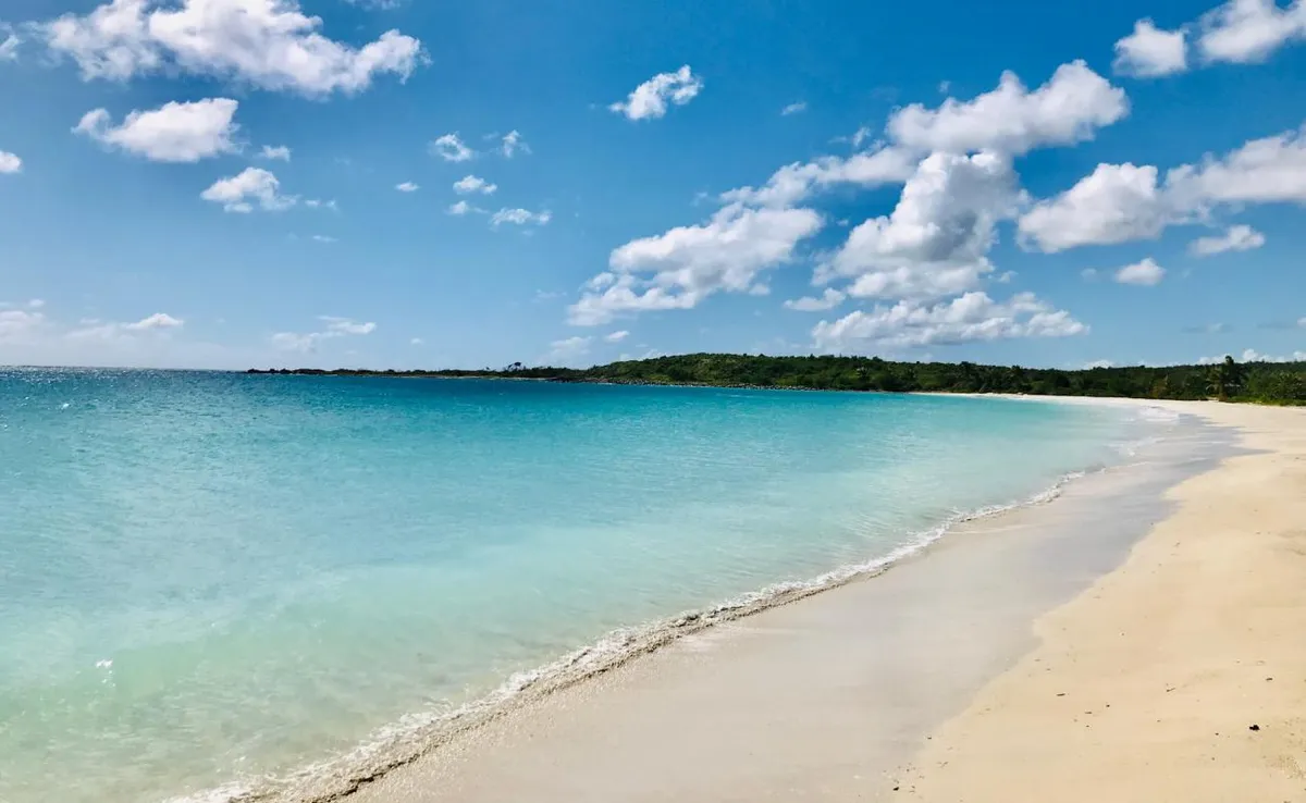 vieques puerto rico a guide to the caribbeans hidden gem 3