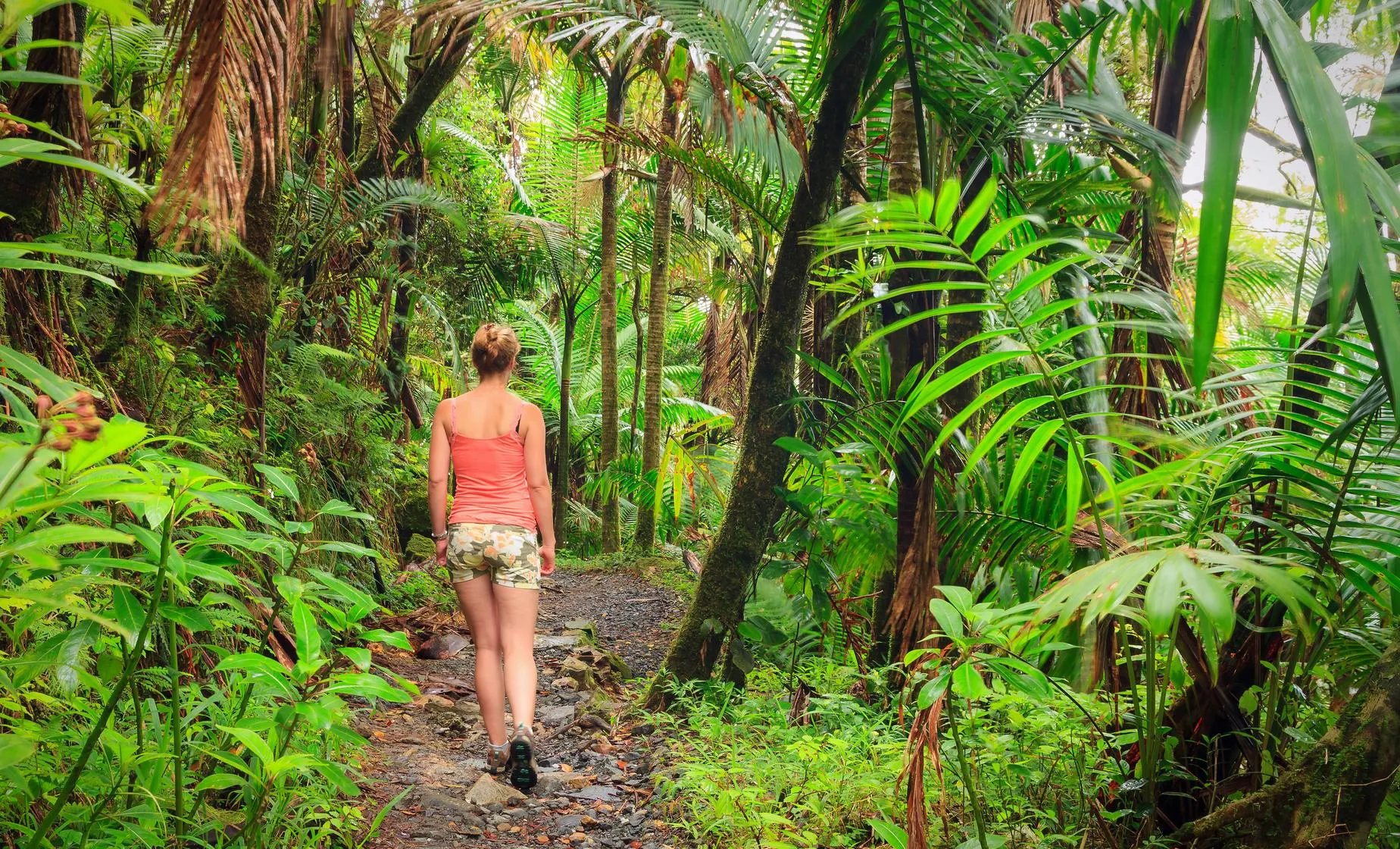 your ultimate puerto rico travel guide 5