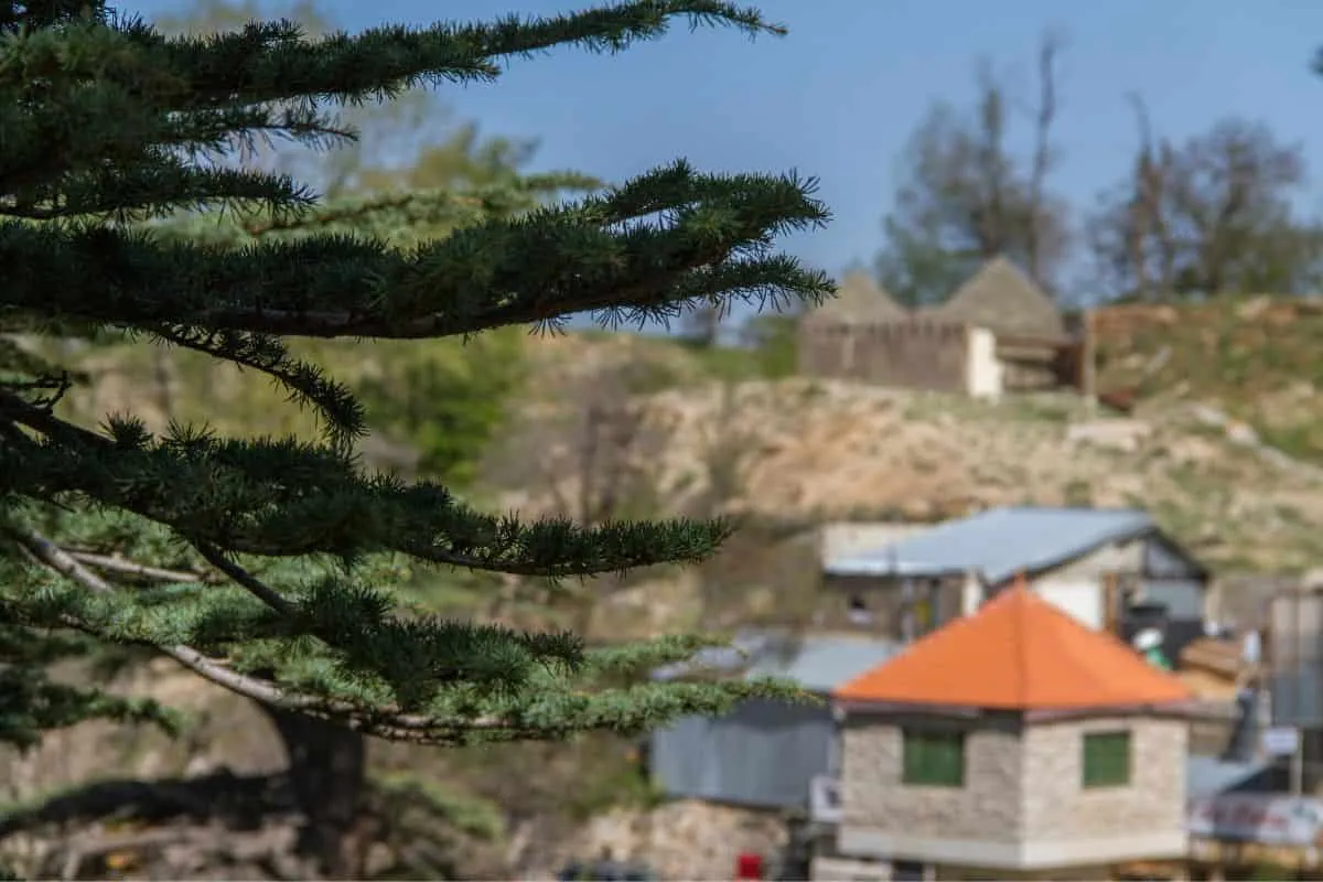 6 essential lebanon archaeological sites 6