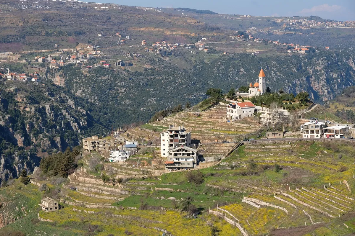 Cedars of Lebanon: Your complete guide to the ancient forest