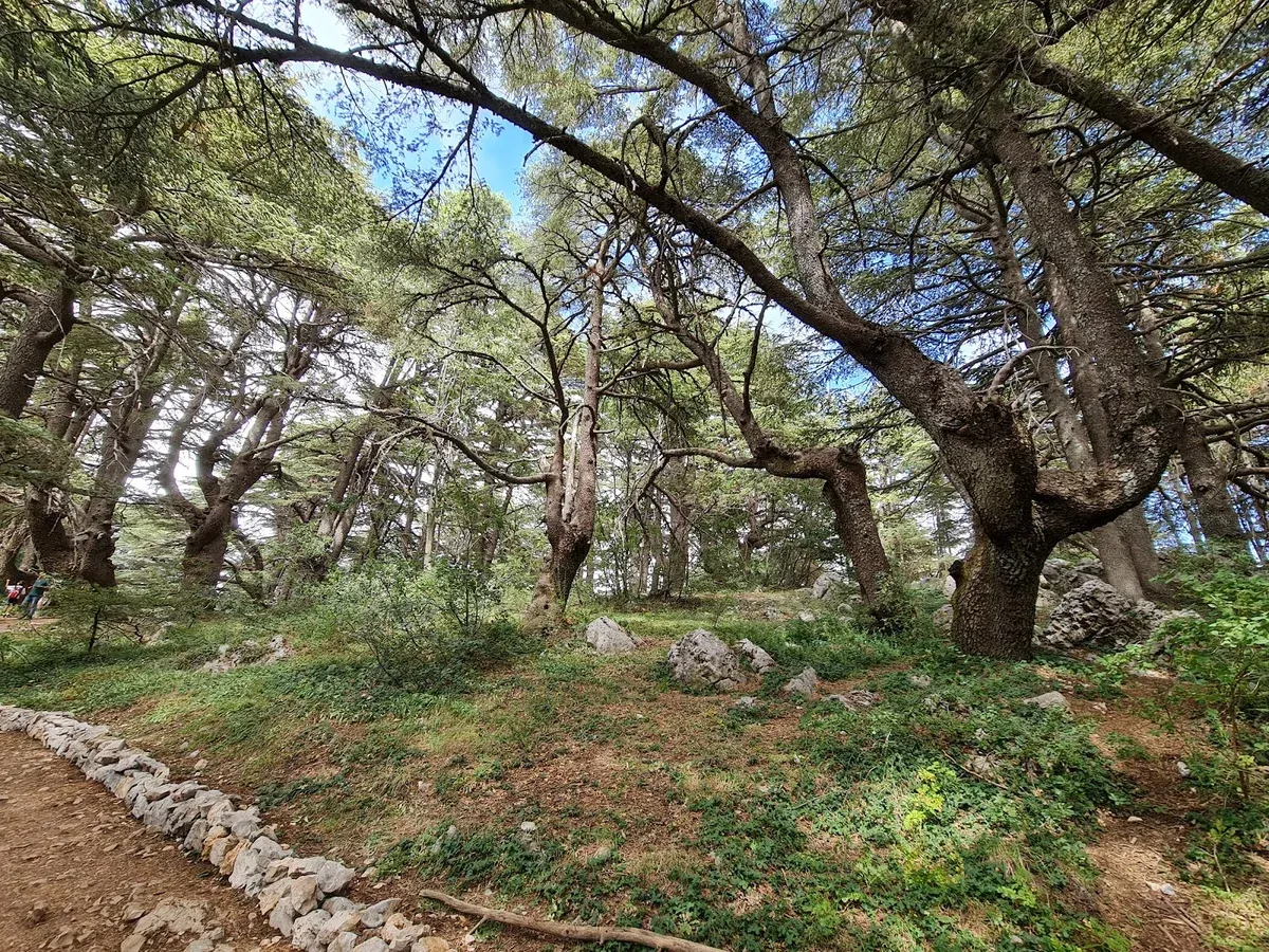 lebanon hiking the ultimate guide to trails valleys treks 1
