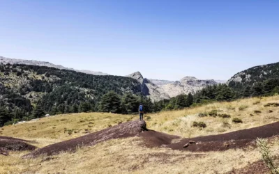 Lebanon Hiking: The Ultimate Guide to Trails, Valleys & Treks