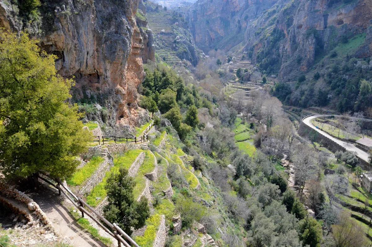 lebanon hiking the ultimate guide to trails valleys treks