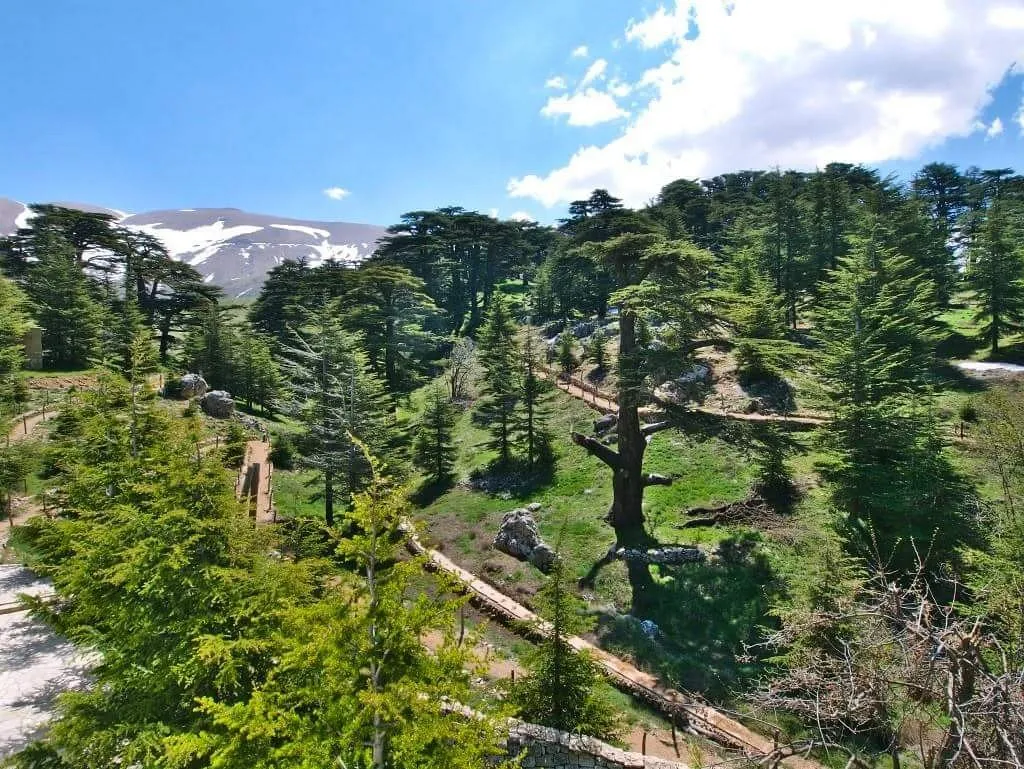 lebanon mountains 7 part guide to your epic adventure 4